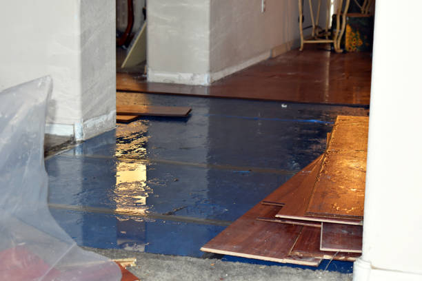 Professional Flood Damage Restoration technician working in Johnson City, KS